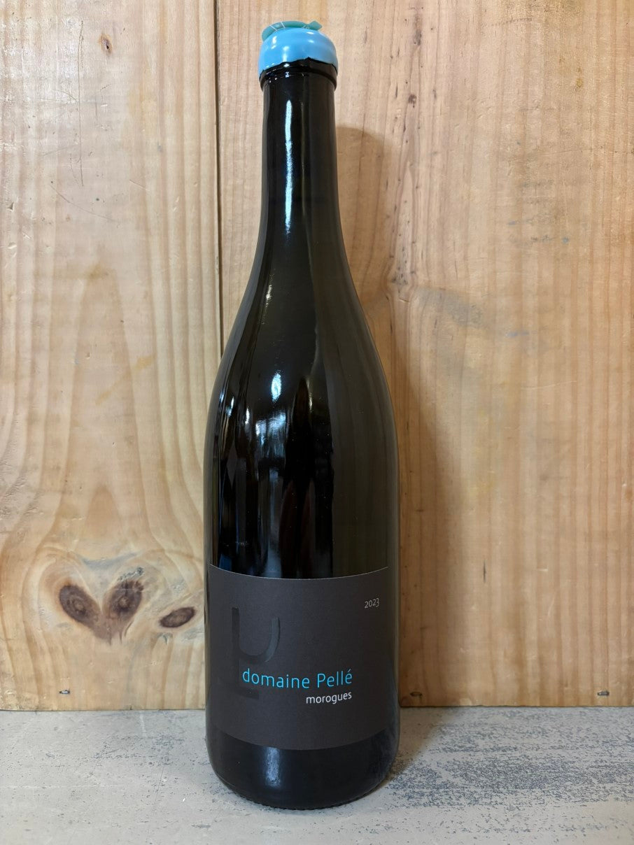 DOMAINE PELLE Morogues 2023 Menetou Salon 75cl Blanc