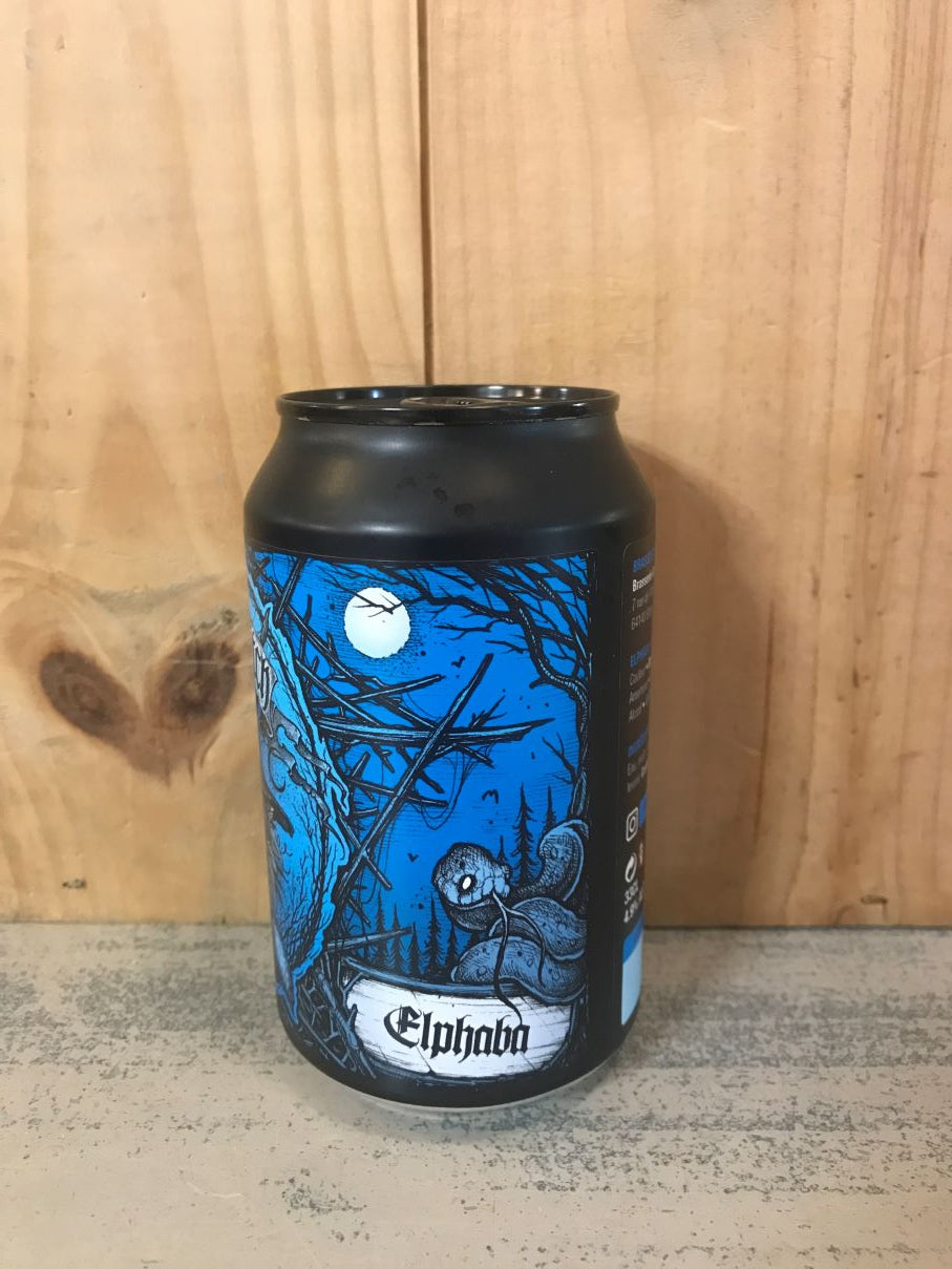 greenwitch-elphaba-pale-ale-cascade-citra-4-9-33cl-pau-france