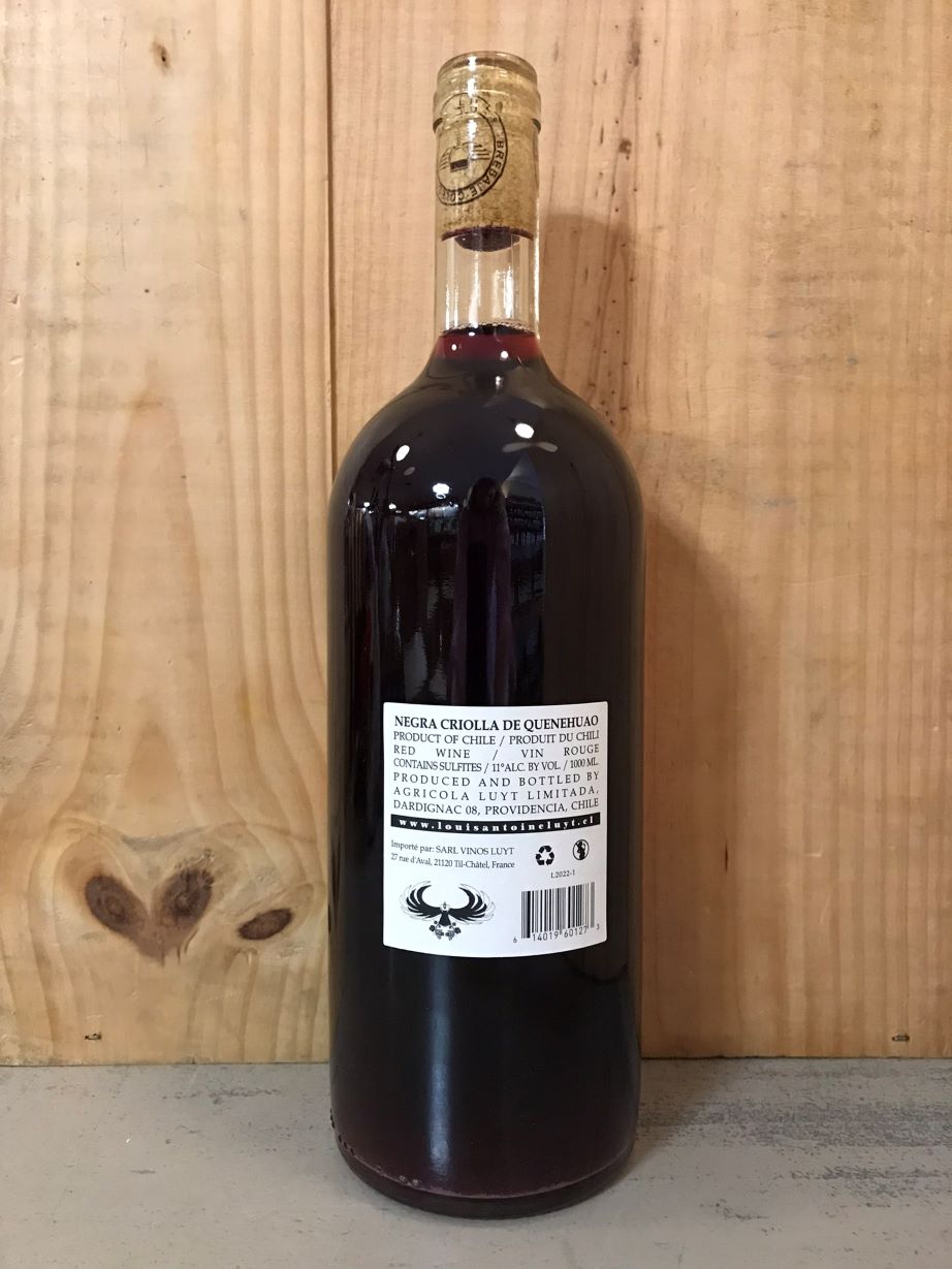 LUYT LOUIS ANTOINE El Mismo Pais 2022 Région Maule Chile 100cl Rosé