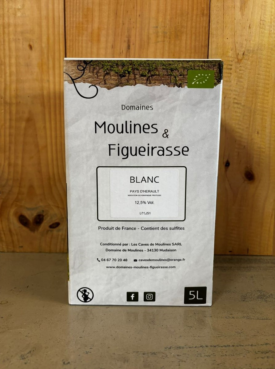 MOULINES Cigales IGP Hérault Bag in Box 5L Blanc