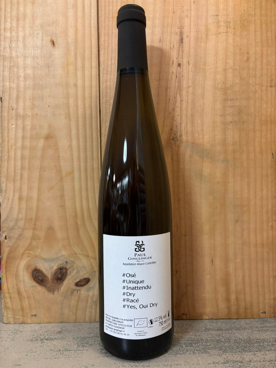 PAUL GINGLINGER #OuiDry! 2023 Alsace 75cl Blanc
