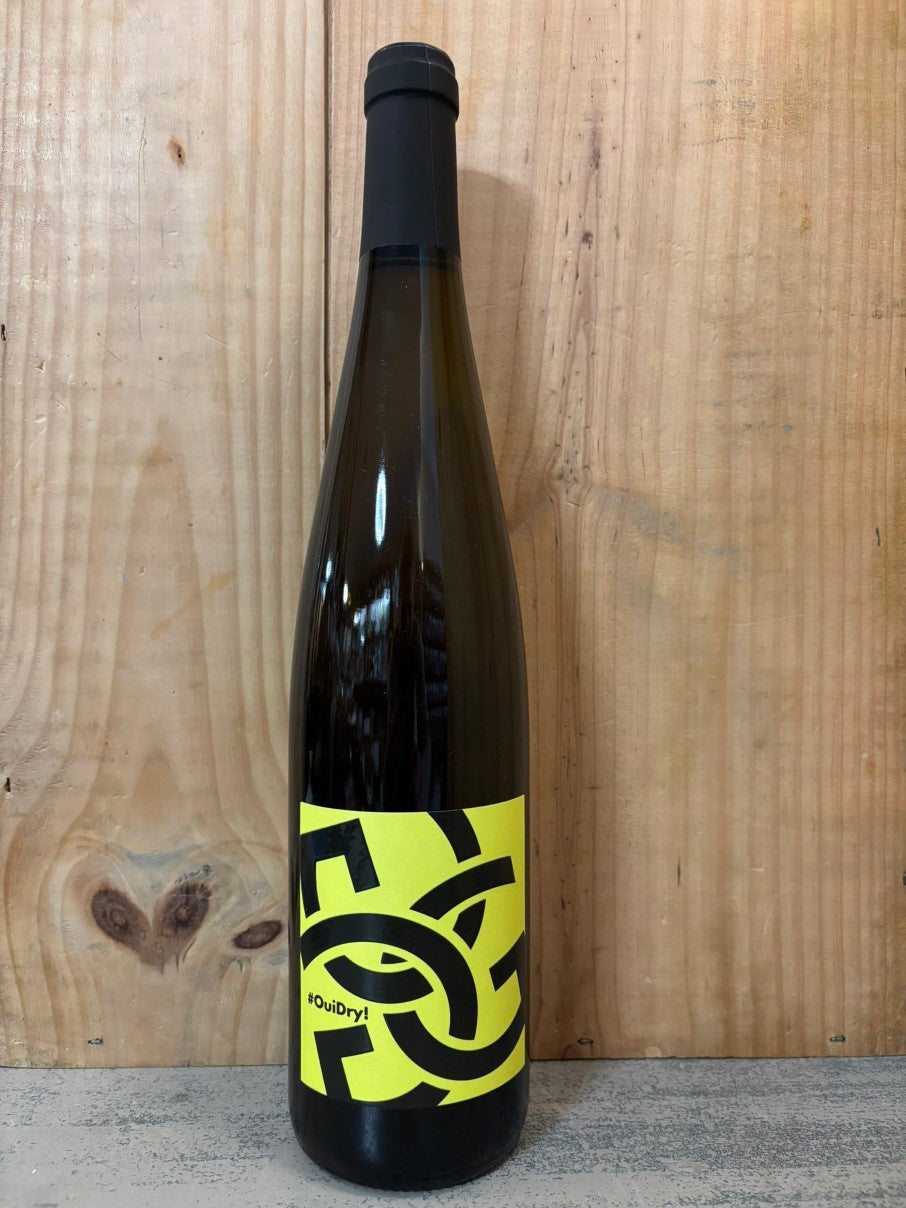 PAUL GINGLINGER #OuiDry! 2023 Alsace 75cl Blanc