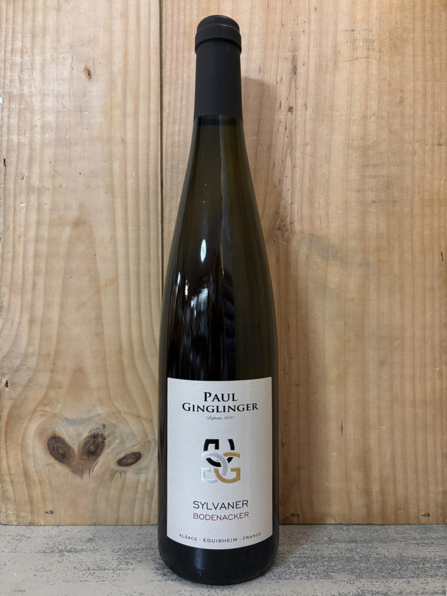 PAUL GINGLINGER Sylvaner Bodenacker 2023 Alsace 75cl Blanc