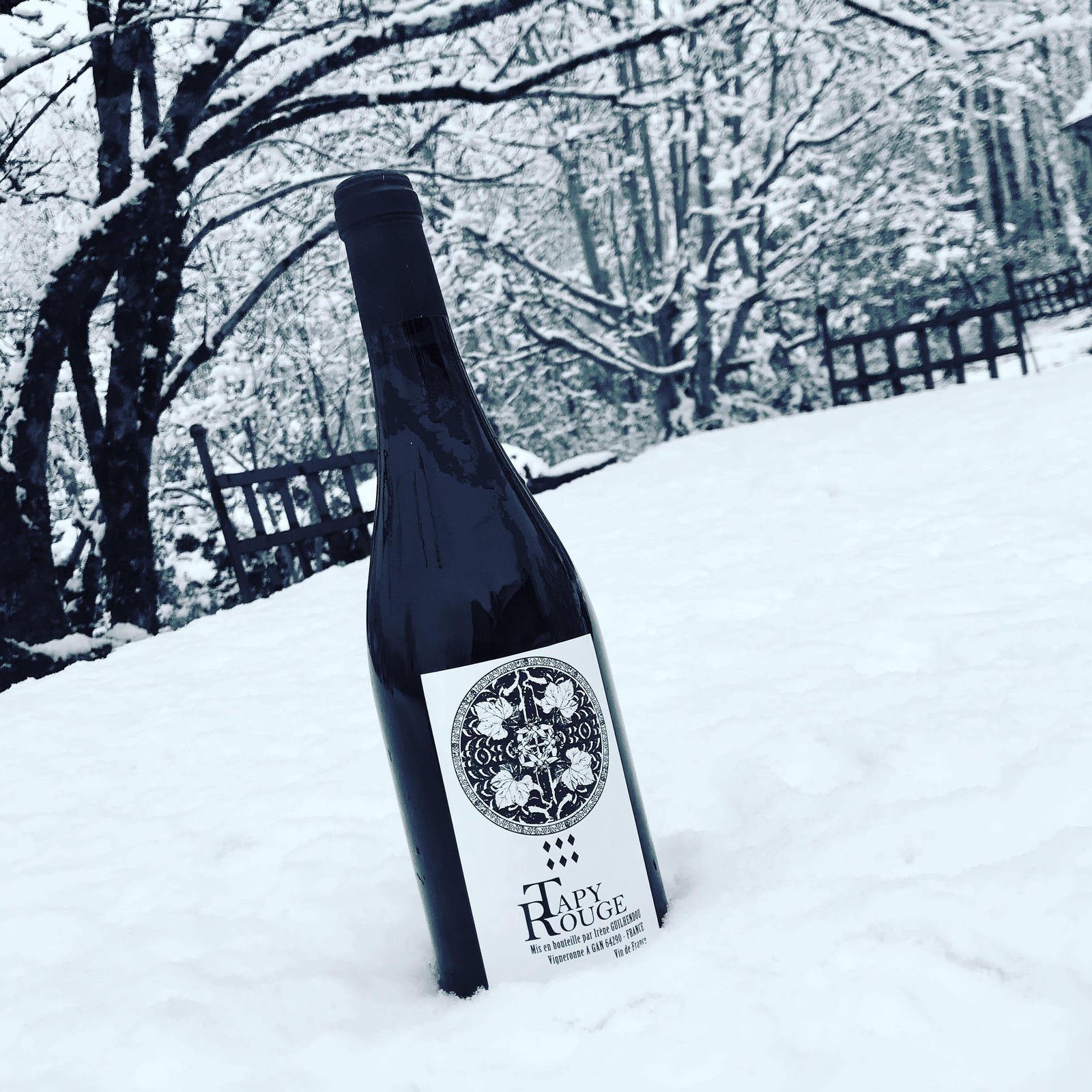 Un Tapy Rouge au tapis blanc! - Cave du Palais, 64000 Pau