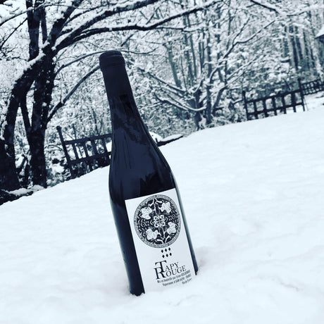 Un Tapy Rouge au tapis blanc! - Cave du Palais, 64000 Pau