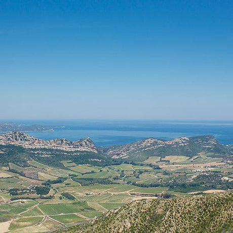 13: Palais Curieux Octobre 2022