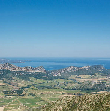 13: Palais Curieux Octobre 2022