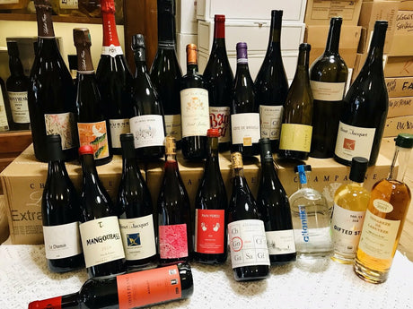 04: Palais Curieux Décembre 2021