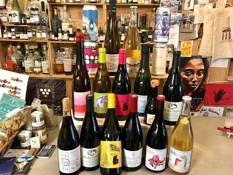 06: Palais Curieux Février 2022