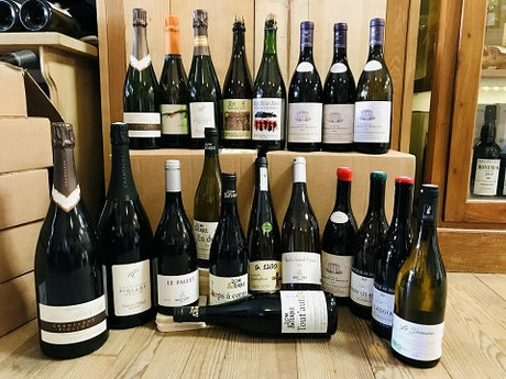 03: Palais Curieux Novembre 2021