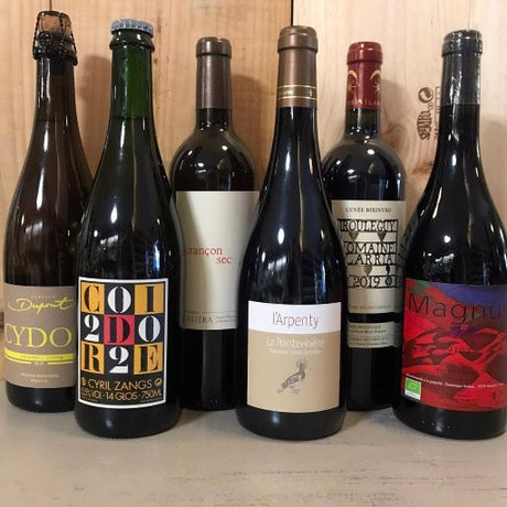 16: Palais Curieux Janvier 2023