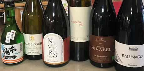 31: Palais Curieux Mars 2024