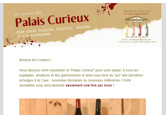Newsletter mensuel Palais Curieux