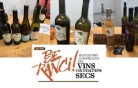 28: Palais Curieux Décembre 2023