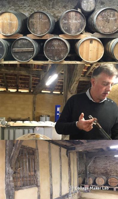 14: Palais Curieux Novembre 2022