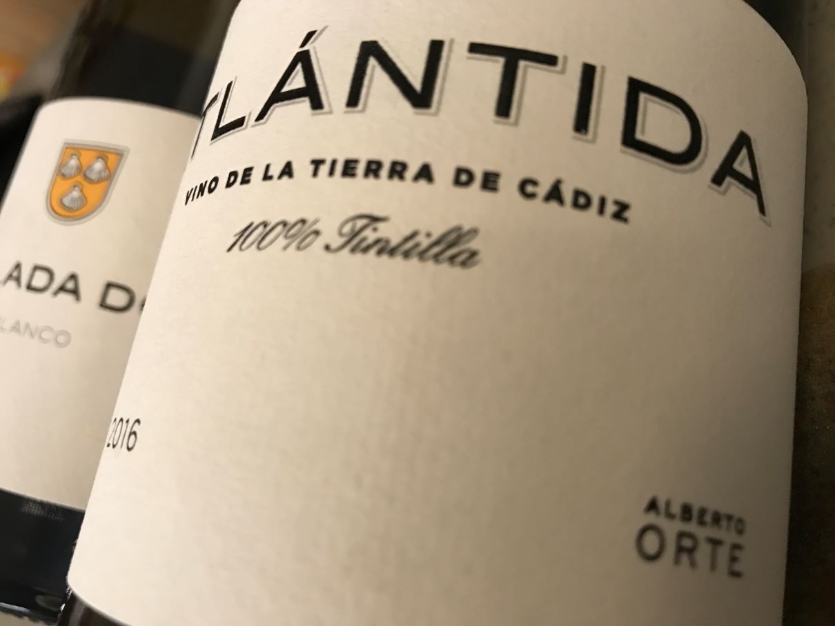 ALBERTO ORTE
