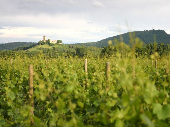CLOS DE CHOZIEUX