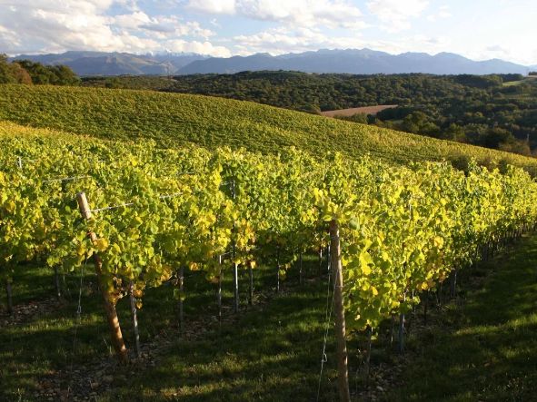 Domaine Castera, Franck Lihour