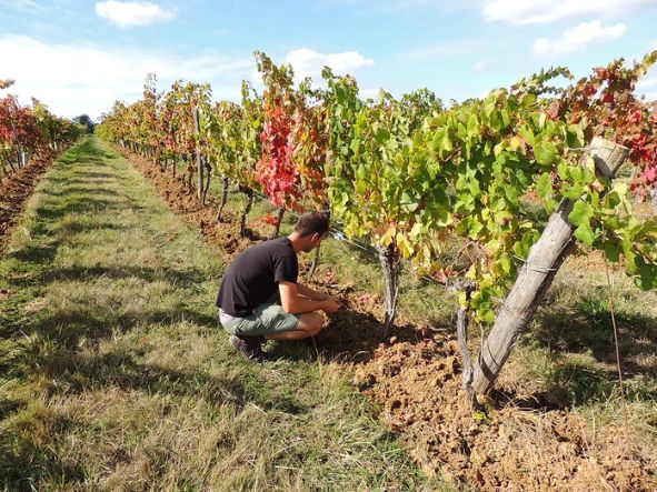 DOMAINE EMILIEN JEAN