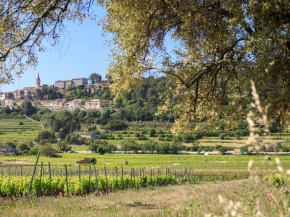 DOMAINE LES LUQUETTES