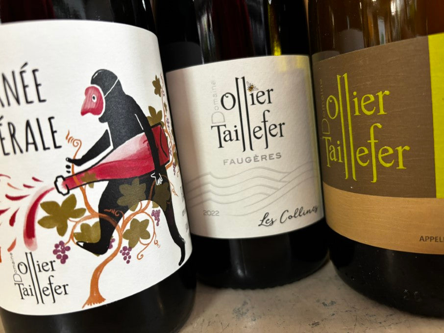 OLLIER TAILLEFER