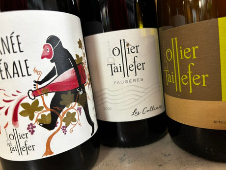 OLLIER TAILLEFER