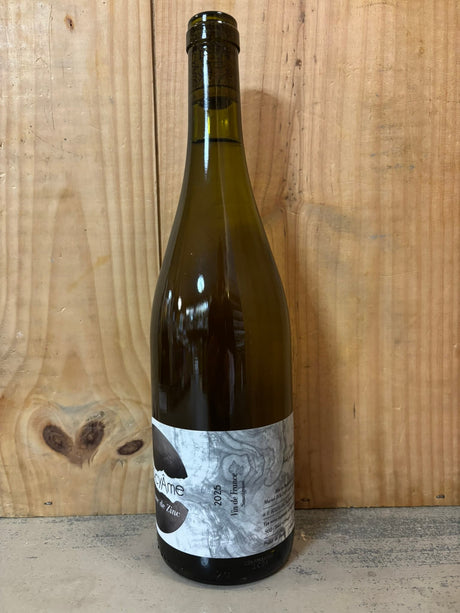 ANTOCYAME Blanc de Zinc 2025 VdF (Tarn & Garonne) 75cl Blanc
