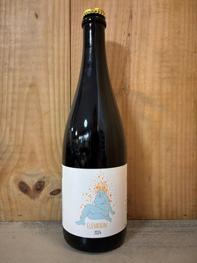 DOMAINE COUSTARRET Elevation 2024 Pétillant Naturel 75cl Blanc