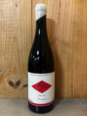 ENVINATE Benje Tinto 2024 DO Ycoden-Daute-Isora Îles Canaries Espagne 75cl Rouge