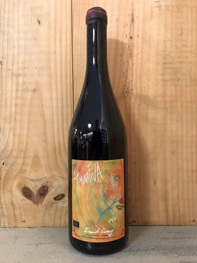 IMANOL GARAY La Altannativa 2021 VdF (Madiran) 75cl Rouge