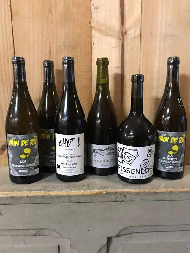 PÉPITES Dominique Andiran Nature Sud Ouest 6 bouteilles