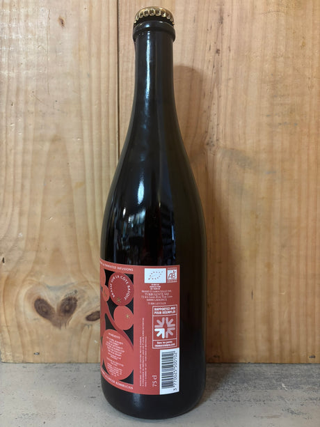 TURBULENTE Romarin & Gingembre 75cl Bio Kombucha